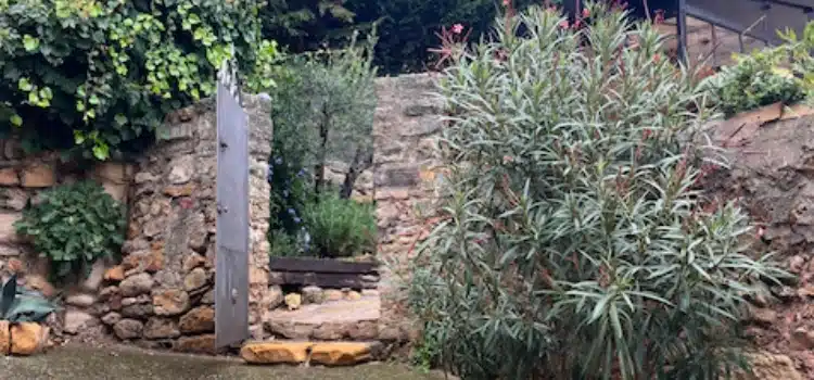 Photo numéro 3 de la galerie de Sylvie Dumouchel : Hypnothérapeute à Bédoin. Prendre RDV