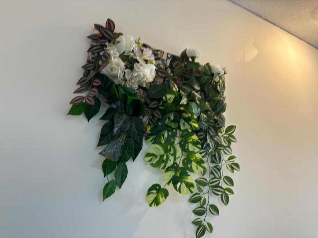 Photo numéro 11 de la galerie de Lamiâa BOUHAMYIA : Naturopathe à Vitry-sur-Seine. Prendre RDV