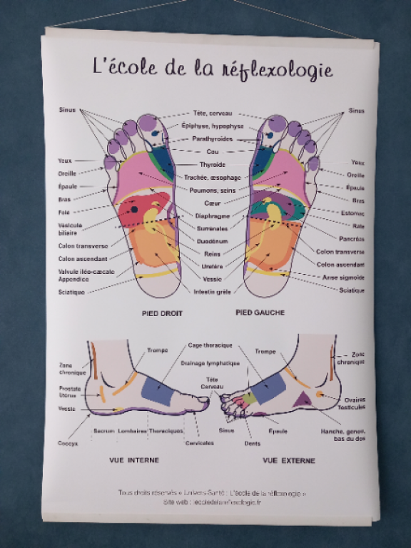 Photo numéro 3 de la galerie de Aliya Baud : Réflexologue à Landaul. Prendre RDV