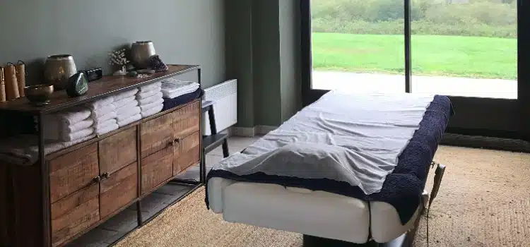 Photo numéro 4 de la galerie de Céline Barnaud : Naturopathe à Mézières-en-Brenne. Prendre RDV