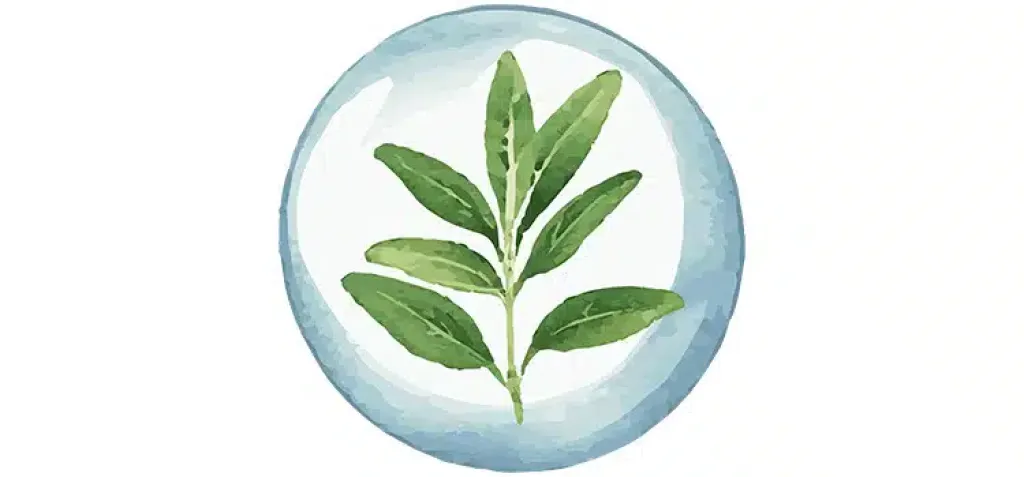 Photo numéro 9 de la galerie de Alexandra Coiffier : Naturopathe à Nogent-sur-Eure. Prendre RDV