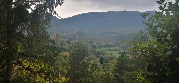 Photo numéro 1 de la galerie de Myriam Sidi : Naturopathe à Piégros-la-Clastre. Prendre RDV