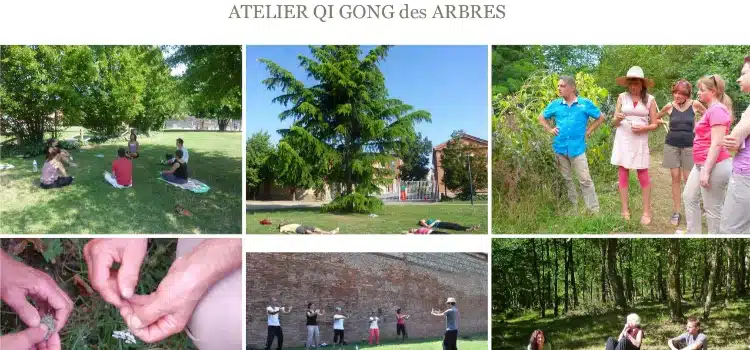 Photo numéro 8 de la galerie de Nicolas Bourseul : Naturopathe à Boulogne-sur-Gesse. Prendre RDV