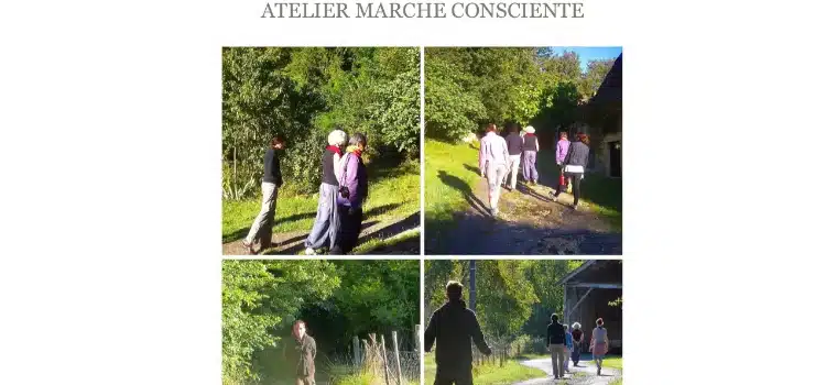 Photo numéro 4 de la galerie de Nicolas Bourseul : Naturopathe à Boulogne-sur-Gesse. Prendre RDV