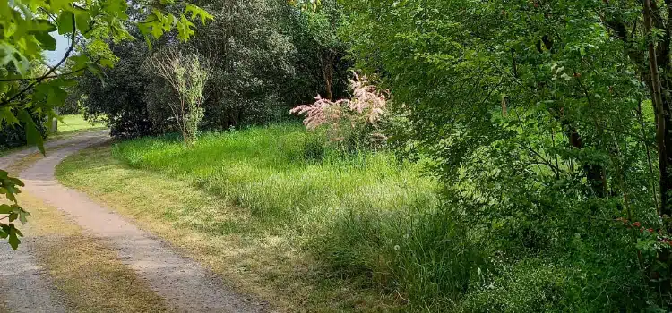 Photo numéro 1 de la galerie de Valérie Terrien : Naturopathe à Chalonnes-sur-Loire. Prendre RDV