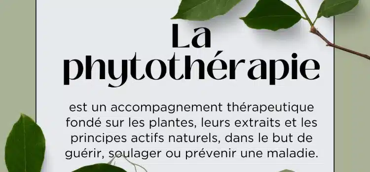 Photo numéro 1 de la galerie de Anaïs Lucas : Hypnothérapeute à Percy-en-Normandie. Prendre RDV