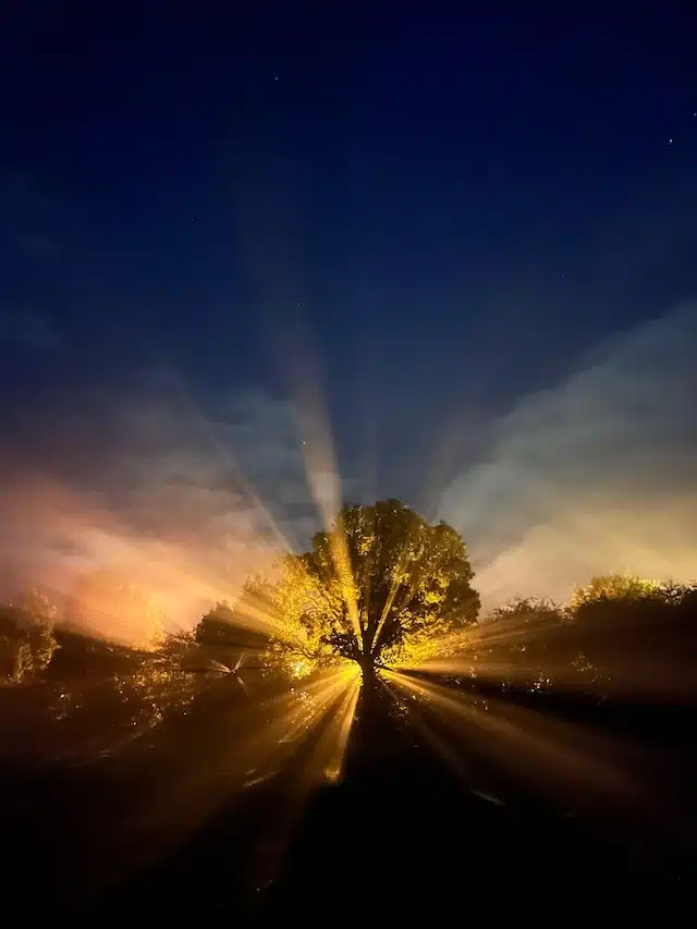 Photo numéro 8 de la galerie de Christèle Ailleris : Sophrologue à Saint-Nazaire. Prendre RDV
