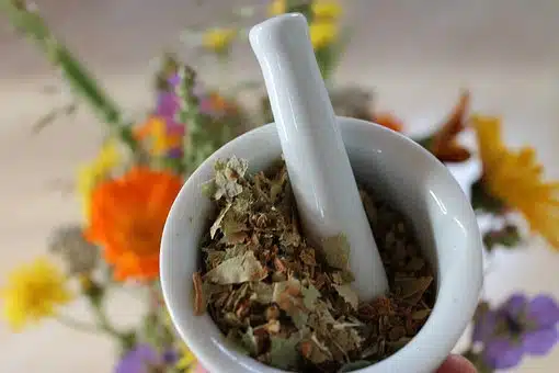 Photo numéro 16 de la galerie de Juliette Montier : Naturopathe à Lyon. Prendre RDV