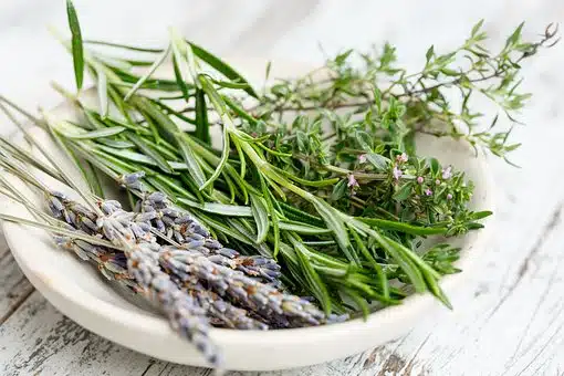 Photo numéro 6 de la galerie de Juliette Montier : Naturopathe à Lyon. Prendre RDV