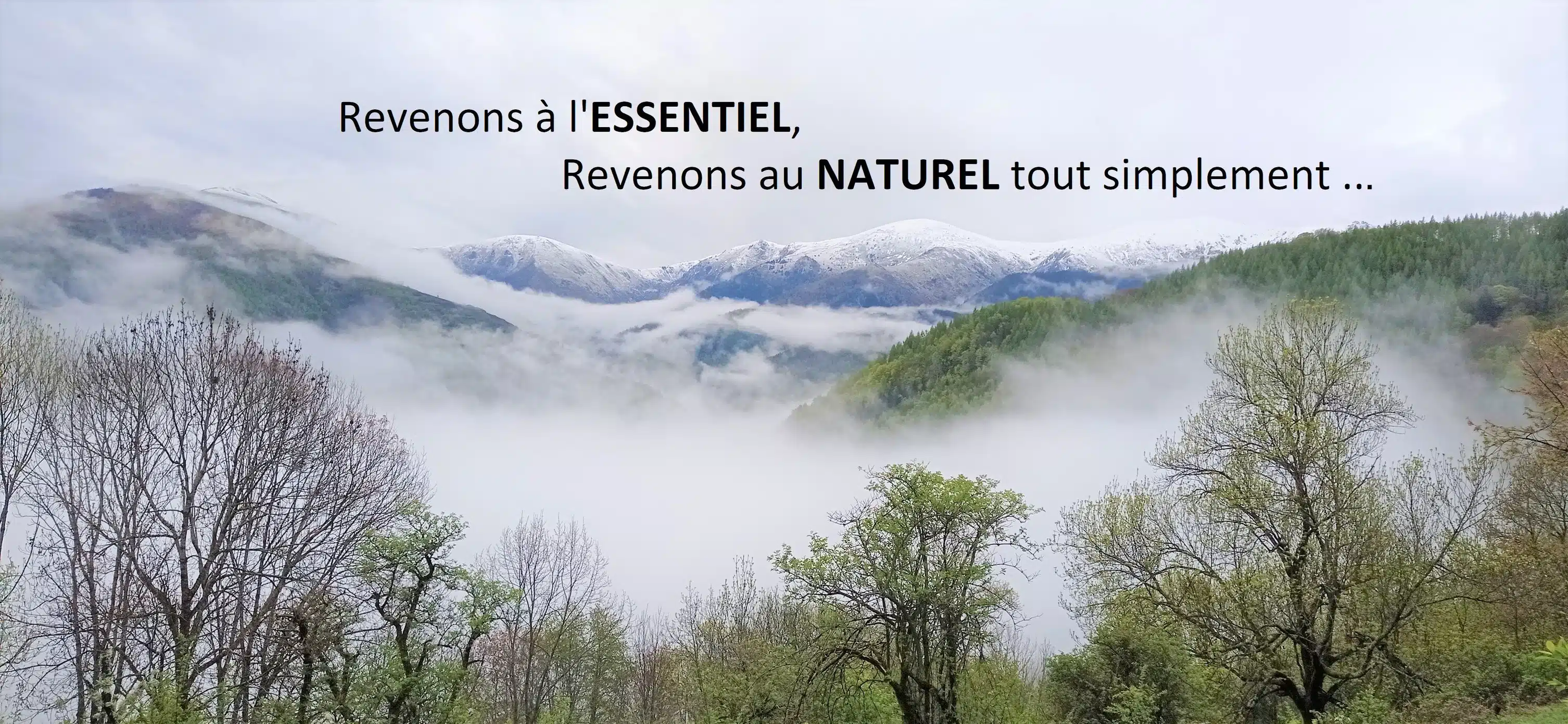 Photo numéro 5 de la galerie de Isabelle Bidet : Naturopathe à Lercoul. Prendre RDV