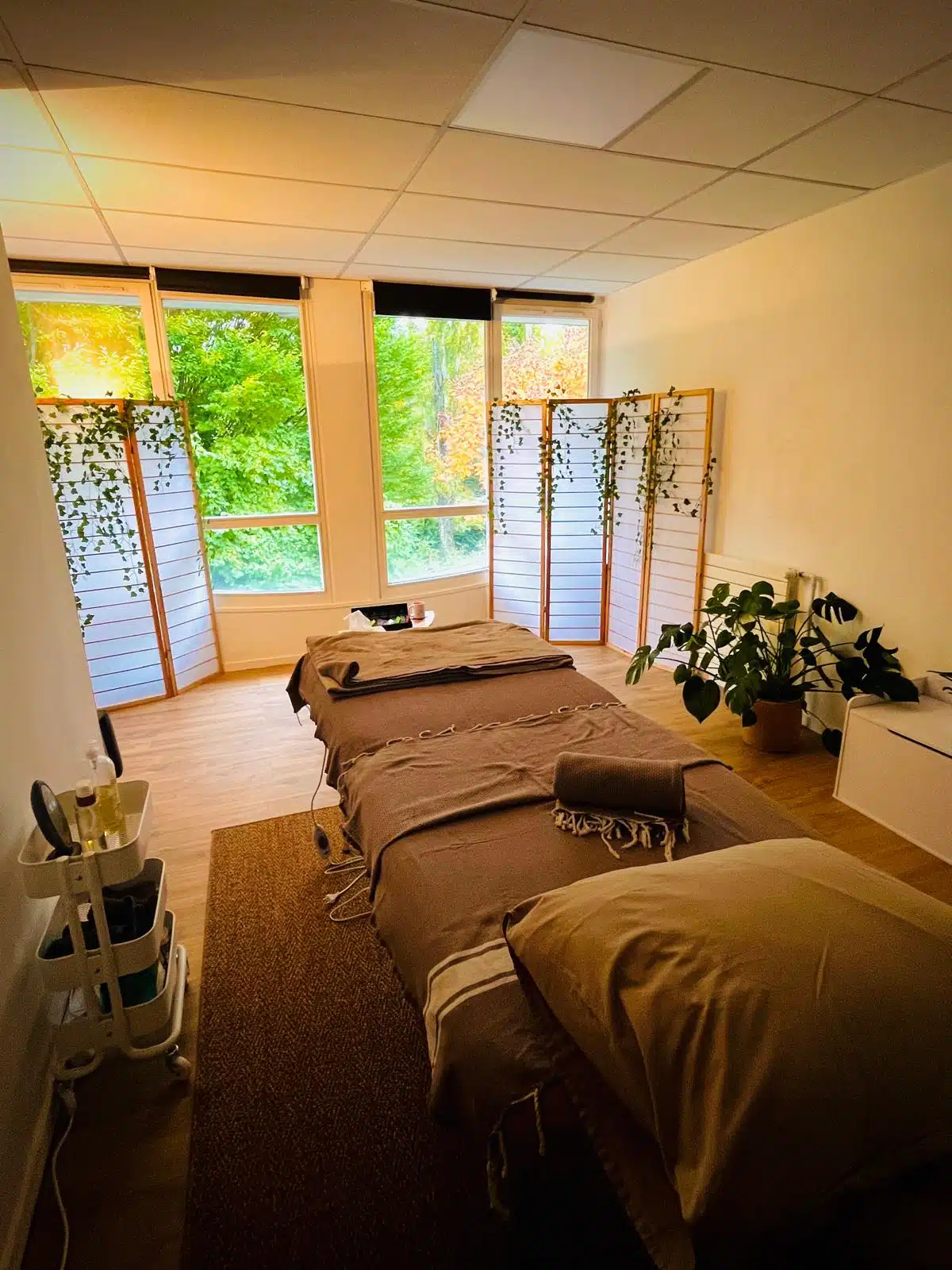 Photo numéro 7 de la galerie de Christel Markov : Naturopathe à Divonne-les-Bains. Prendre RDV