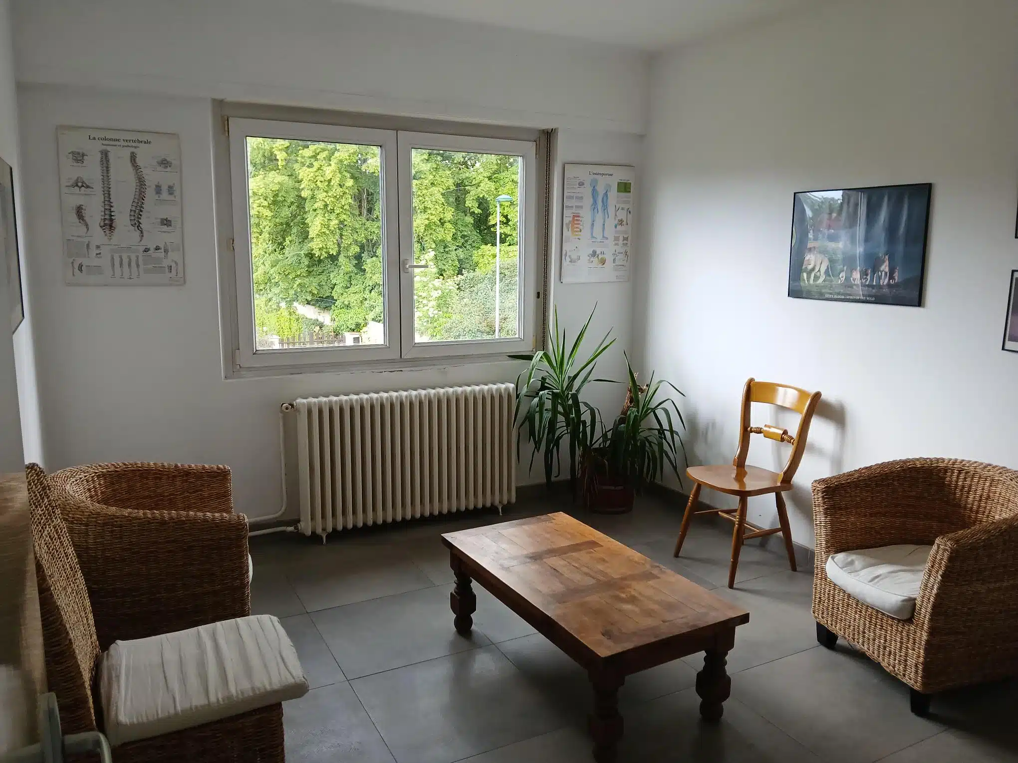 Photo numéro 2 de la galerie de Nicolina MILANO : Hypnothérapeute à COLMAR. Prendre RDV