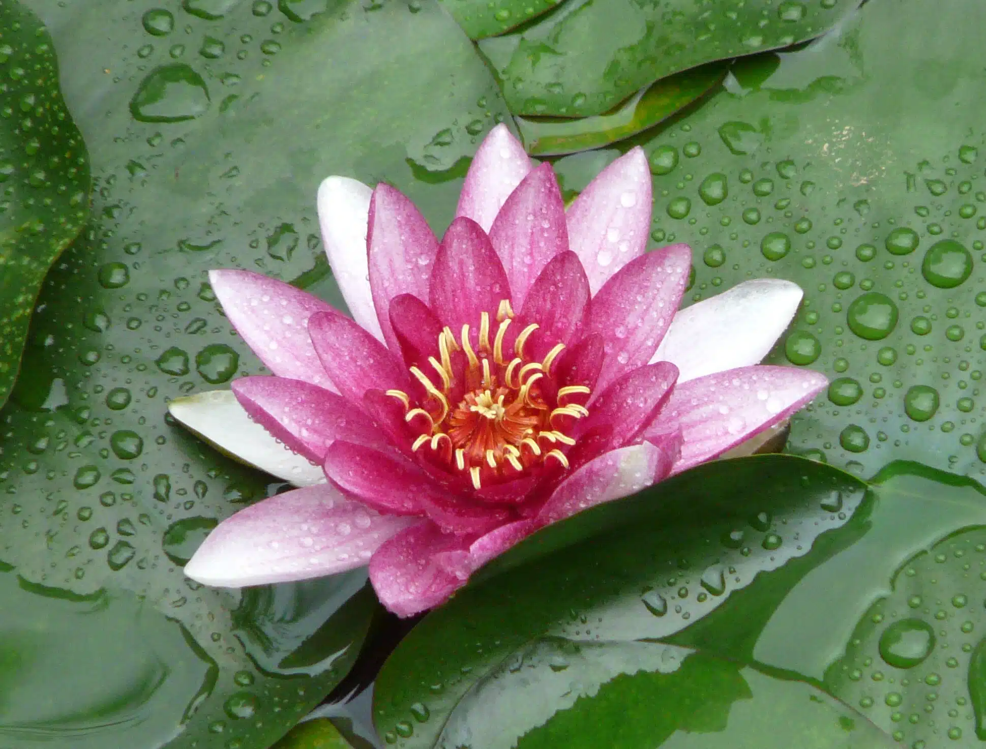 Photo numéro 1 de la galerie de Pascale Peiretti : Thérapeute psycho-corporel à Savigny-sur-Orge. Prendre RDV