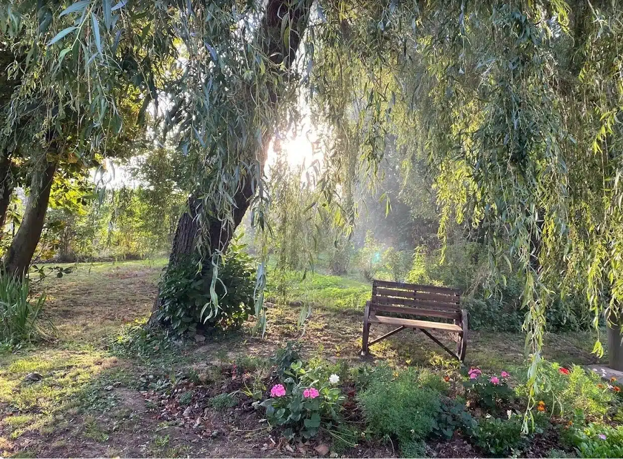 Photo numéro 1 de la galerie de Melissa Dauchy : Sophrologue à Caëstre. Prendre RDV