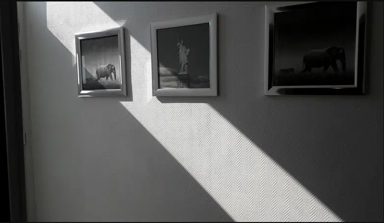 Photo numéro 2 de la galerie de Adeline Kameni : Sophrologue à Dunkerque. Prendre RDV