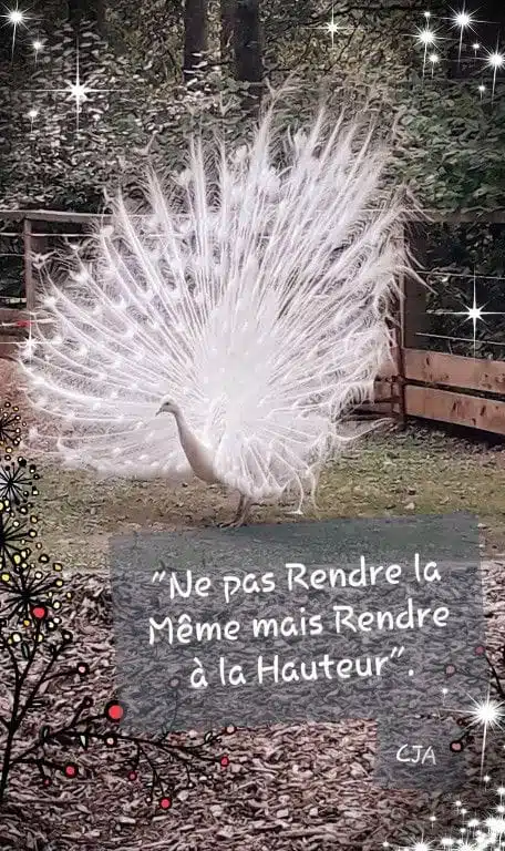 Photo numéro 1 de la galerie de Candice Agiman : Psychanalyste à Neuville-de-Poitou. Prendre RDV