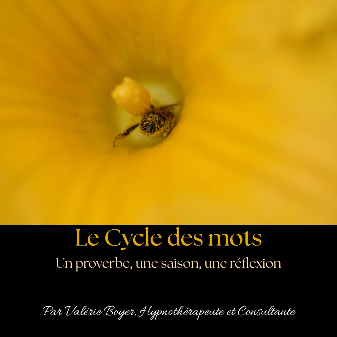 Photo numéro 7 de la galerie de Valérie Boyer : Hypnothérapeute à Cournon-d'Auvergne. Prendre RDV