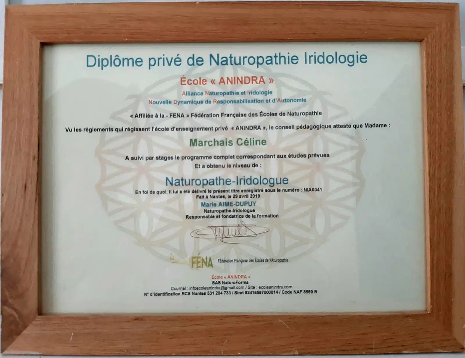 Photo numéro 1 de la galerie de Céline Marchais : Naturopathe à Sèvremoine. Prendre RDV