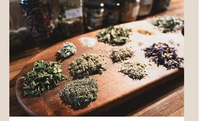 Photo numéro 3 de la galerie de Emmanuèle Sanner : Naturopathe à Ternant. Prendre RDV