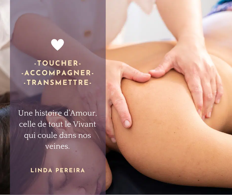 Photo numéro 11 de la galerie de Terre à Pi Linda Pereira : Masseur bien-être à Chailly-en-Bière. Prendre RDV