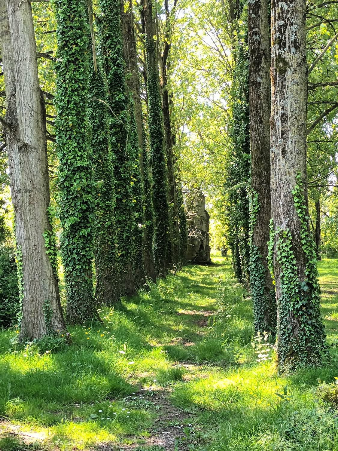 Photo numéro 7 de la galerie de Lorène Fernandes : Naturopathe à Calais. Prendre RDV