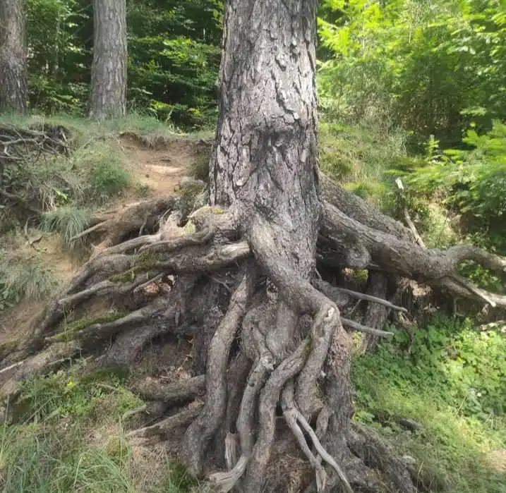 Photo numéro 1 de la galerie de Valérie Adjemian : Sophrologue à L'Isle-sur-la-Sorgue. Prendre RDV